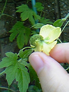 06-07-24_09-42.jpg