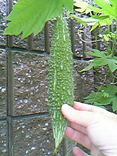 06-07-24_09-41.jpg