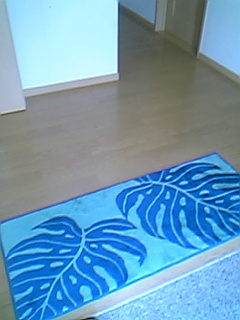 06-09-26_12-41.jpg