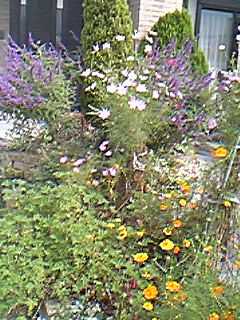 06-10-04_09-53.jpg