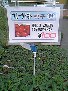 07-05-29_12-31.jpg