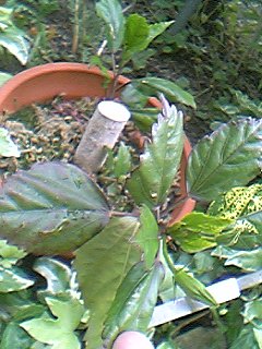 07-06-03_17-13.jpg